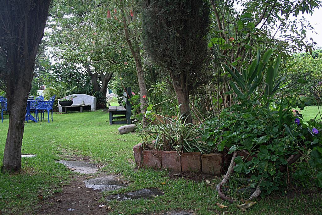 Homestay Saint Mary's